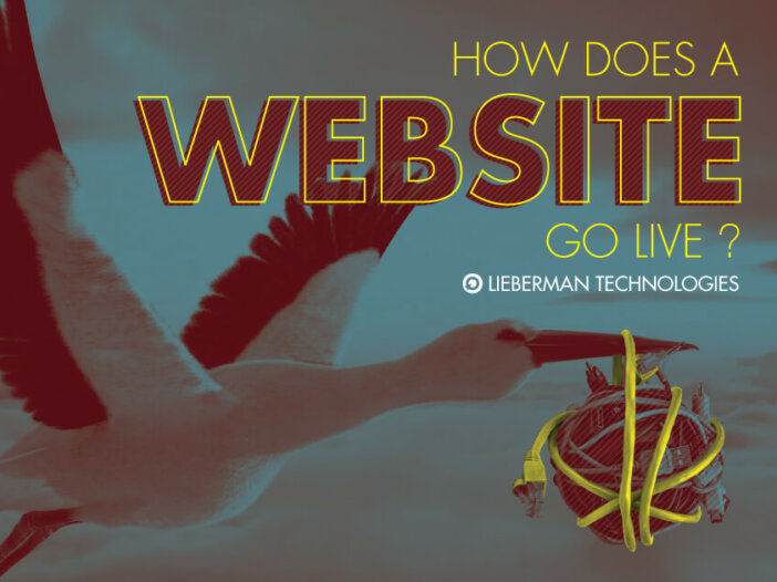 how does a website go live