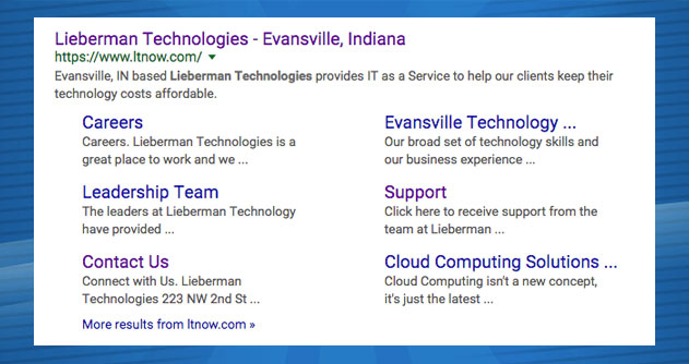 Lieberman Technologies SEO search results